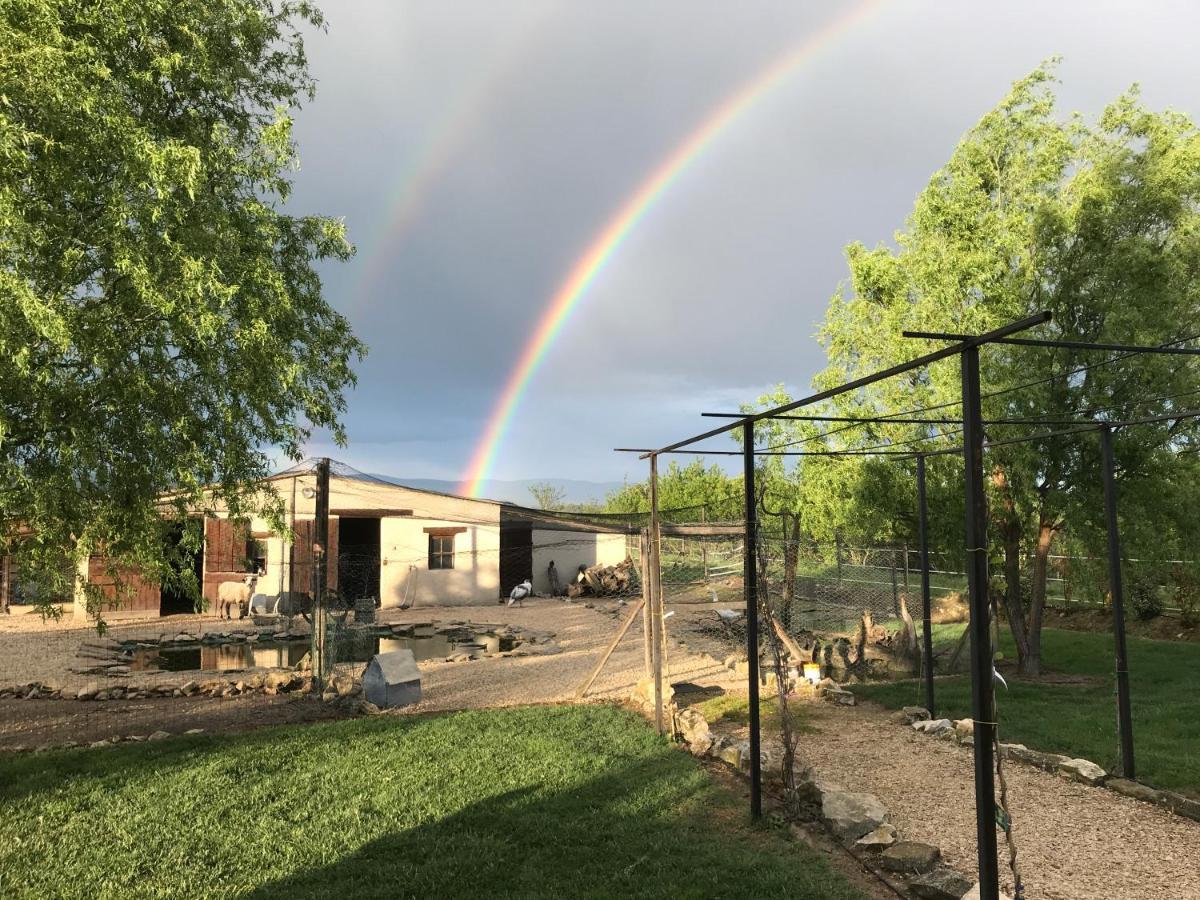Ferienwohnung La Bergerie Lou Mas Li Pitchoun Gordes Exterior foto