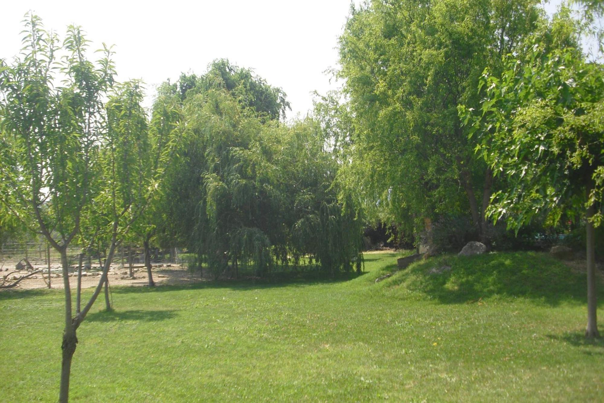 Ferienwohnung La Bergerie Lou Mas Li Pitchoun Gordes Exterior foto