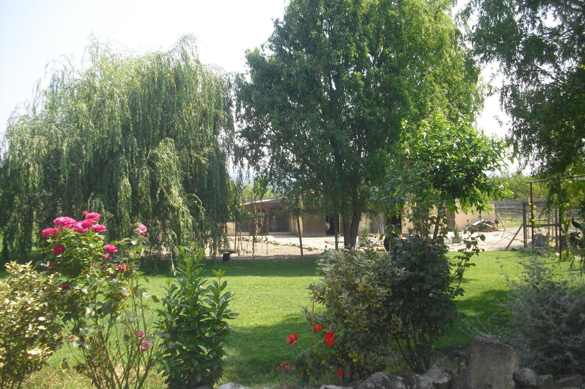 Ferienwohnung La Bergerie Lou Mas Li Pitchoun Gordes Exterior foto